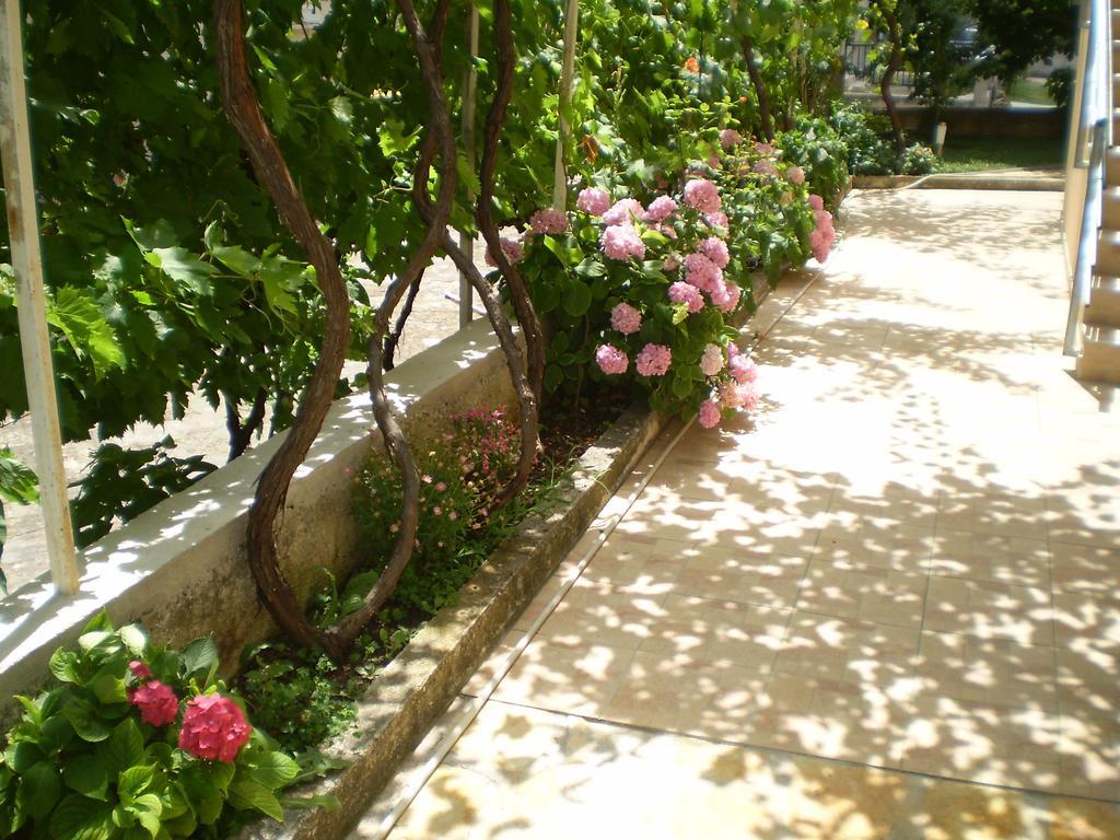 Apartments Tare, Free Parking Vodice Pokoj fotografie