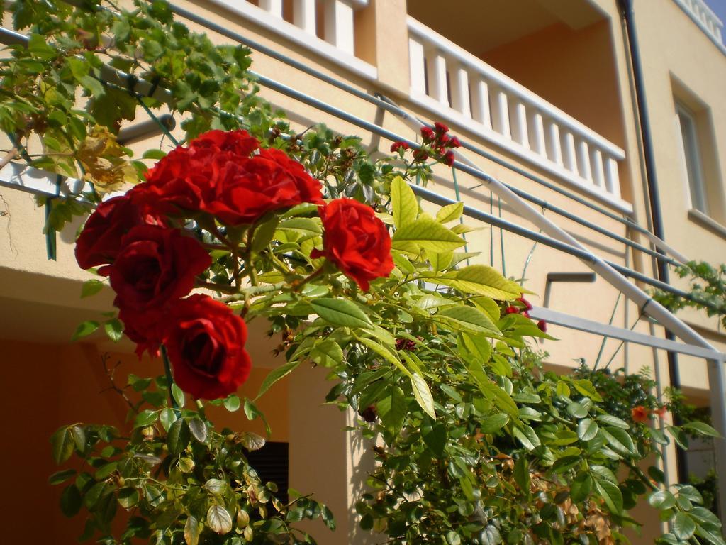 Apartments Tare, Free Parking Vodice Pokoj fotografie